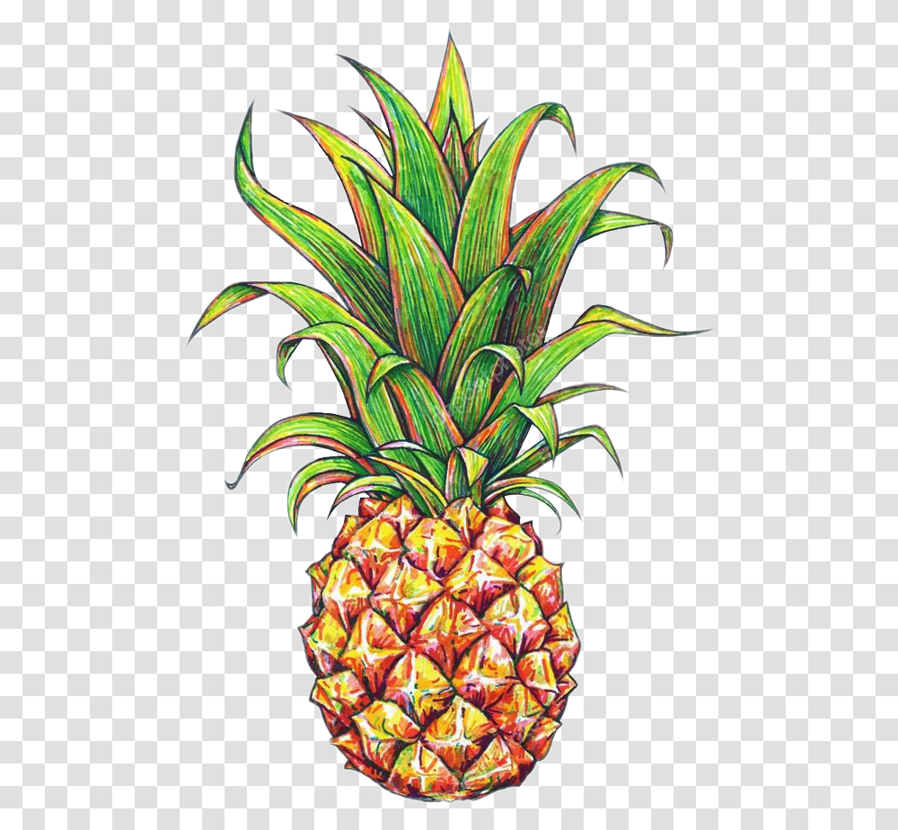 Pineapple Tumblr 6 Image Pineapple Drawing, Plant, Fruit, Food, Painting Transparent Png