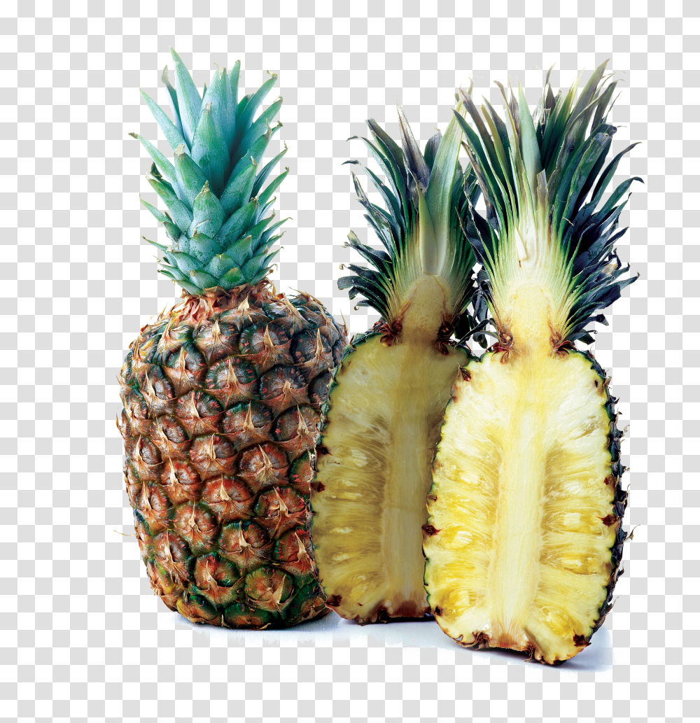 Pineapple Wallpaper Search Result Cliparts For Pineapple Psd Transparent Png