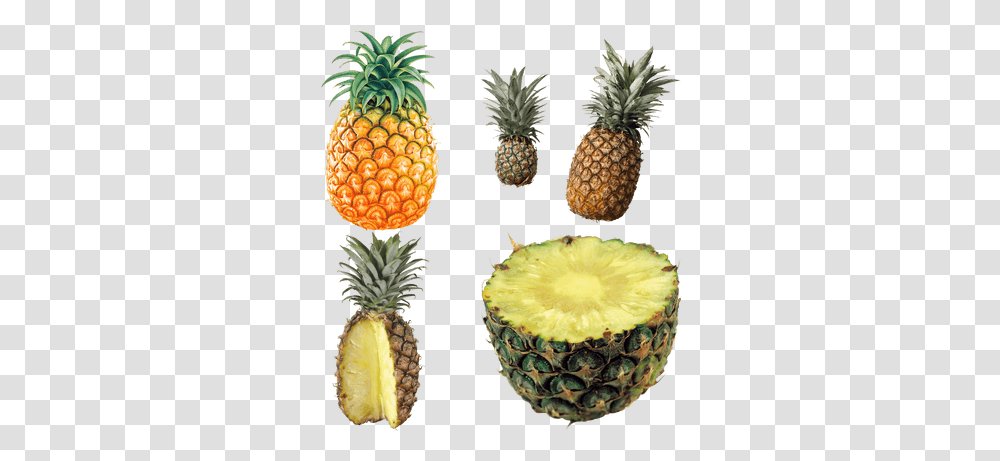 Pineapples Images Stickpng Free Image, Plant, Fruit, Food Transparent Png