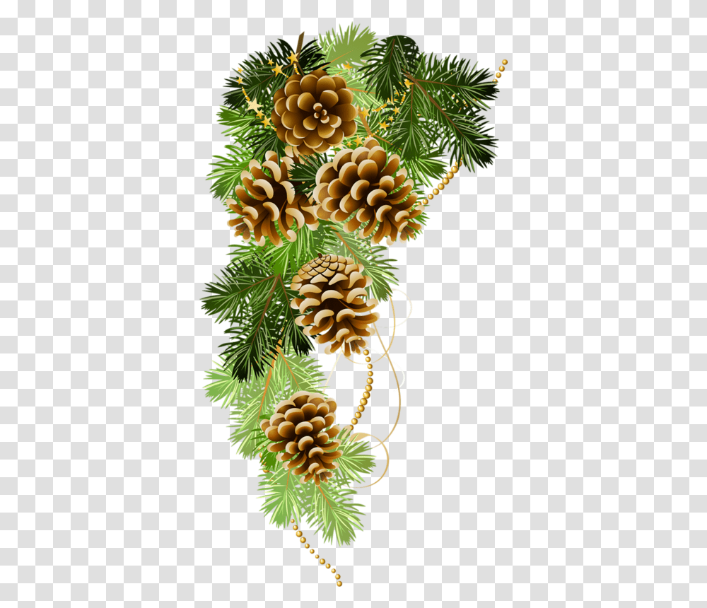 Pinecone Christmas Pine Cone Clipart, Tree, Plant, Conifer, Larch Transparent Png