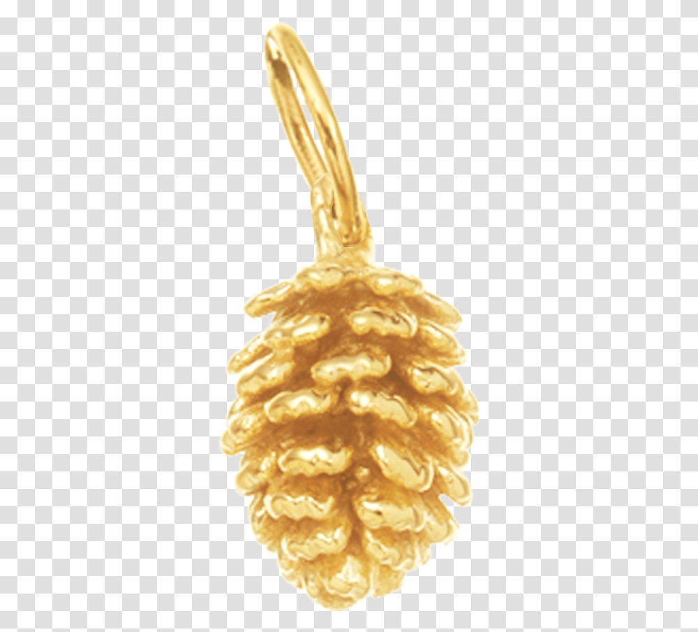 Pinecone For Calm Solid, Plant, Food, Gold, Gourd Transparent Png