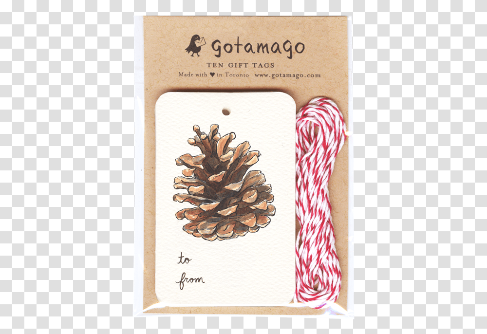Pinecone Gift Tags Set Of Gift, Stick, Cane, Page Transparent Png