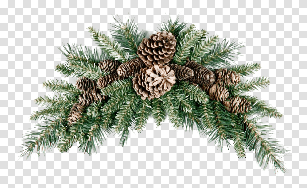 Pinecone Picture Christmas Swag, Tree, Plant, Conifer, Fir Transparent Png
