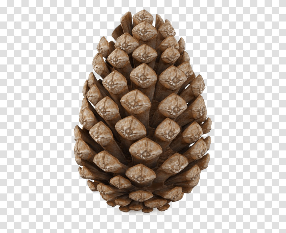 Pinecone Pine Cone 3d Model Free, Plant, Tree, Food, Nut Transparent Png