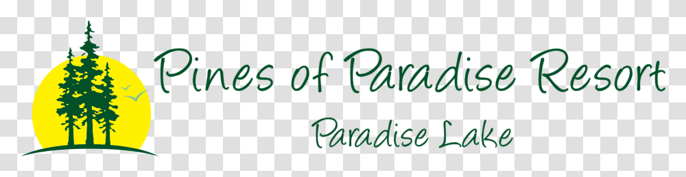Pines Of Paradise Calligraphy, Alphabet, Handwriting, Word Transparent Png