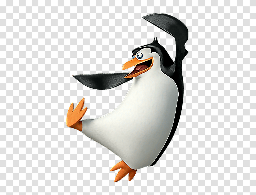 Pingu, Beak, Bird, Animal, Pelican Transparent Png