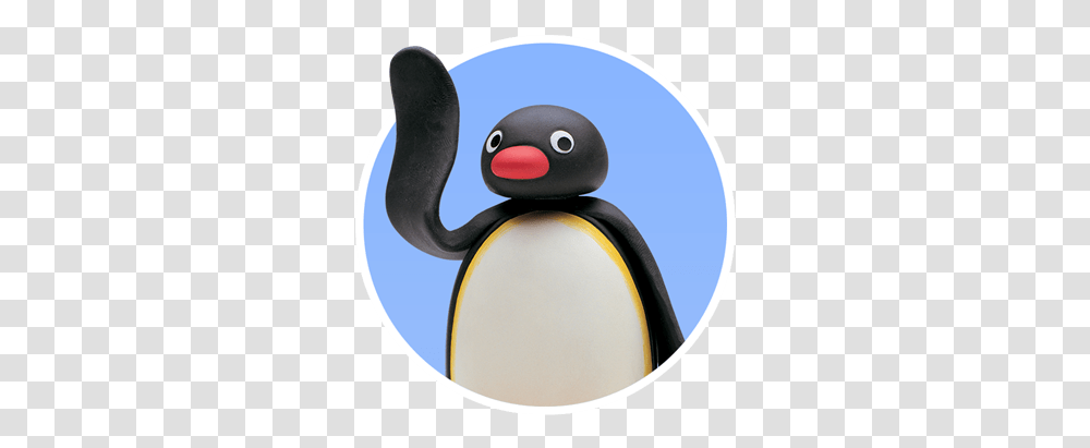 Pingu, Bird, Animal, Penguin, King Penguin Transparent Png