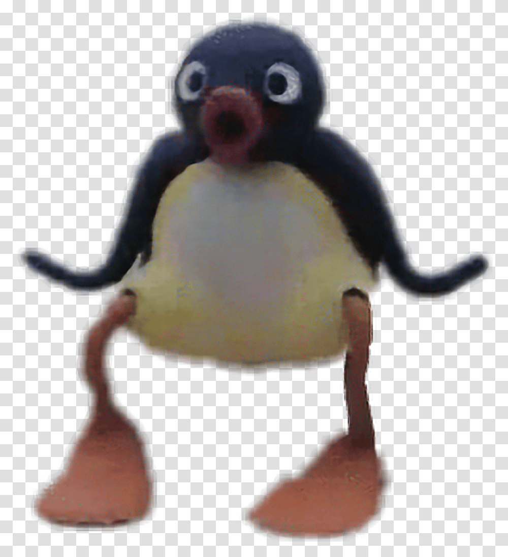 Pingu Noot Noot Download Pingu, Animal, Penguin, Bird, Person Transparent Png