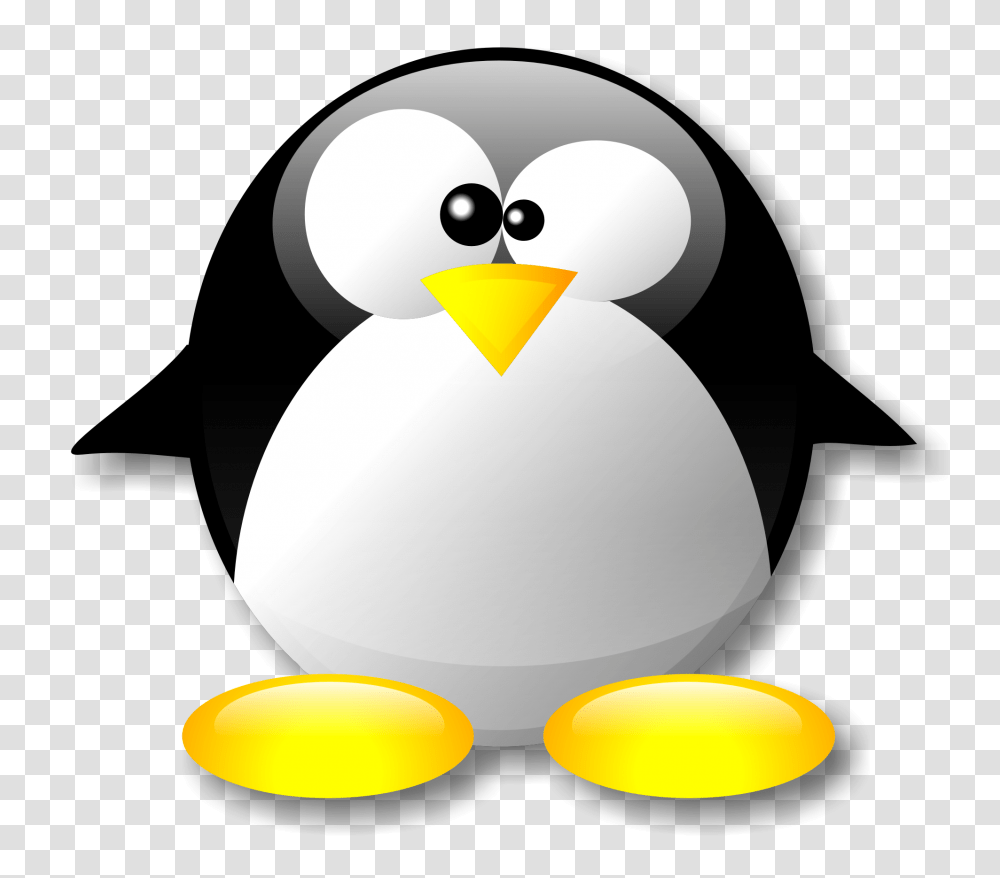 Pinguim Crystal, Bird, Animal, Penguin Transparent Png