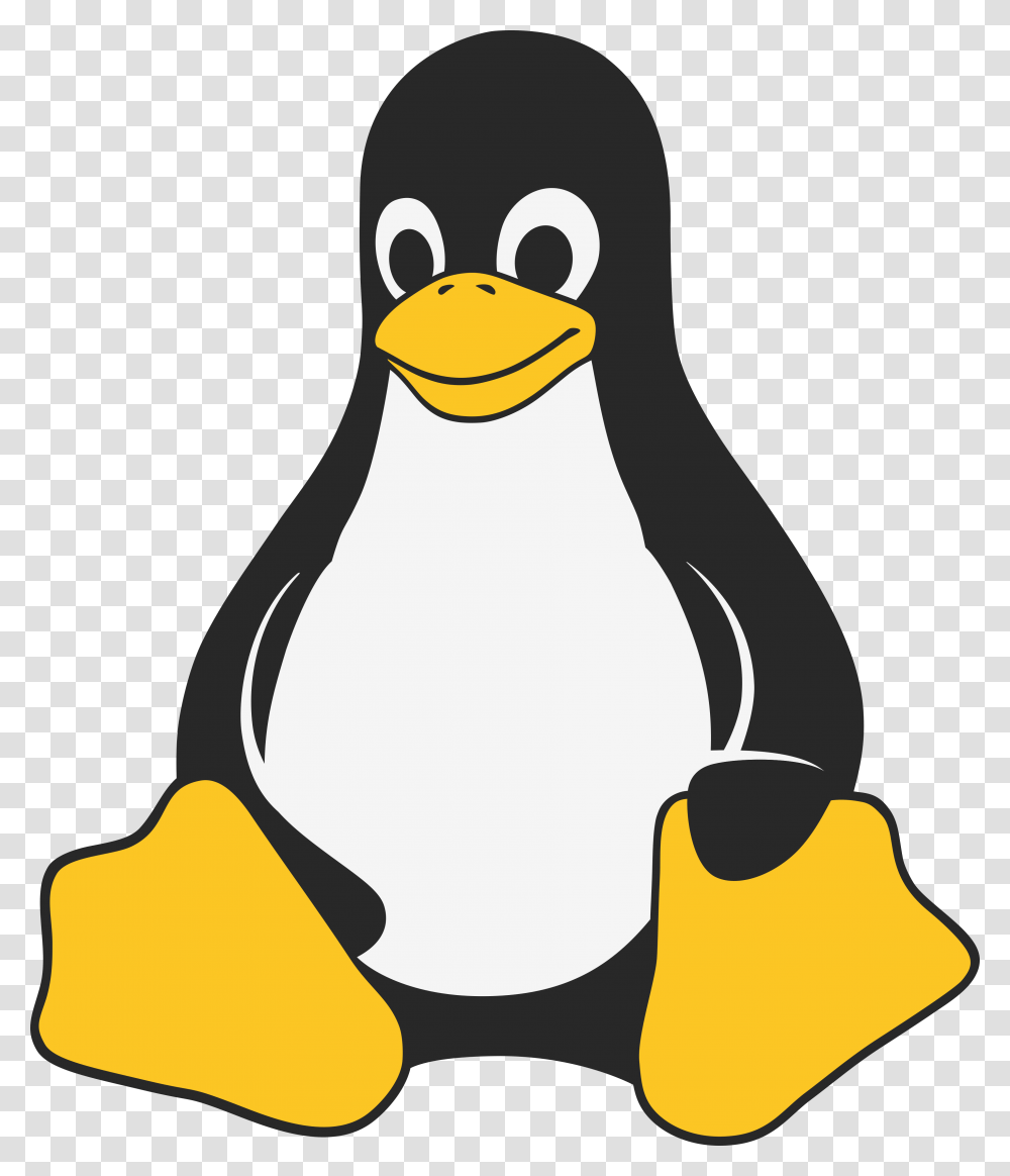 Pinguim Download Linux Penguin, Bird, Animal, King Penguin Transparent Png