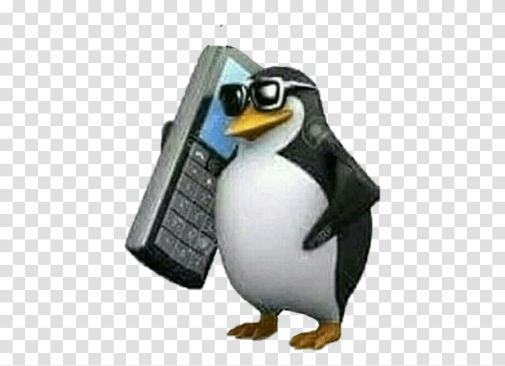 Pinguim Meme Shitpost Penguin With A Phone, Bird, Animal, King Penguin Transparent Png