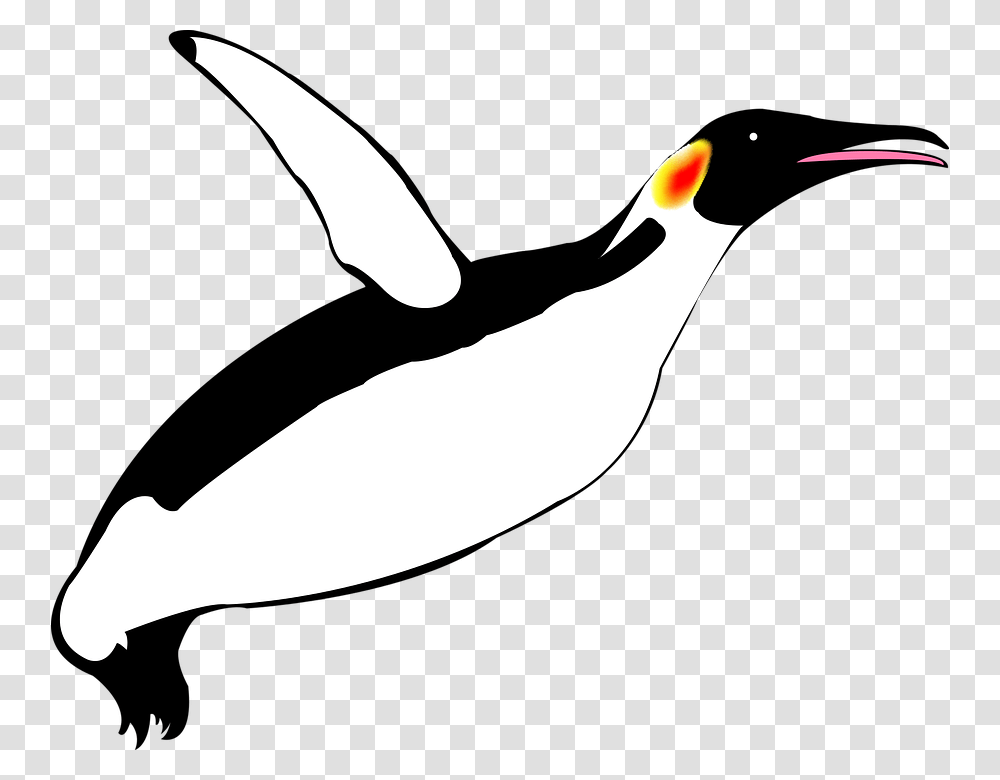 Pinguim Voador Pinguim Pinguins Penguin Flying Clip Art, Bird, Animal, Beak Transparent Png