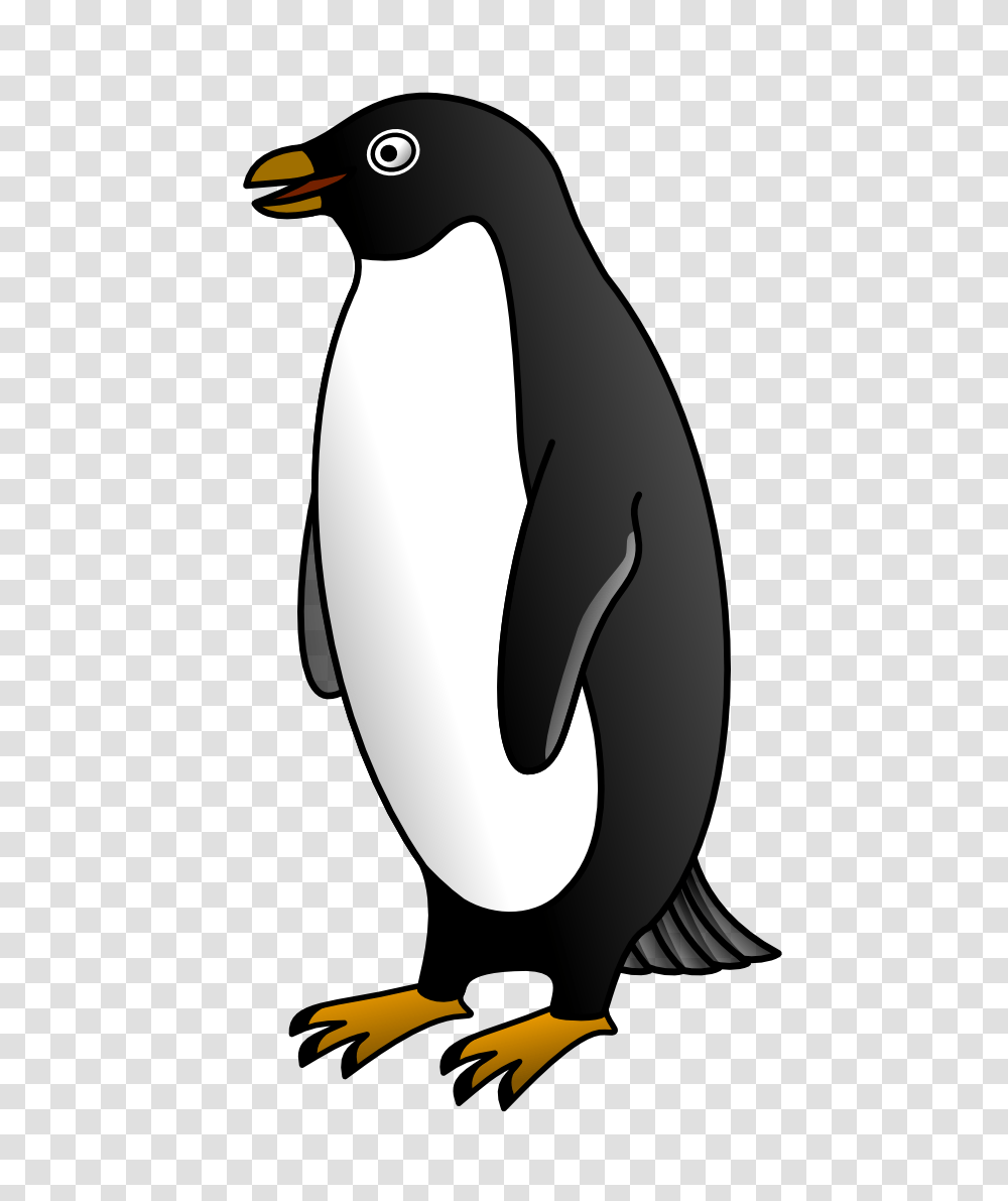 Pinguin, Animals, Bird, Penguin, King Penguin Transparent Png