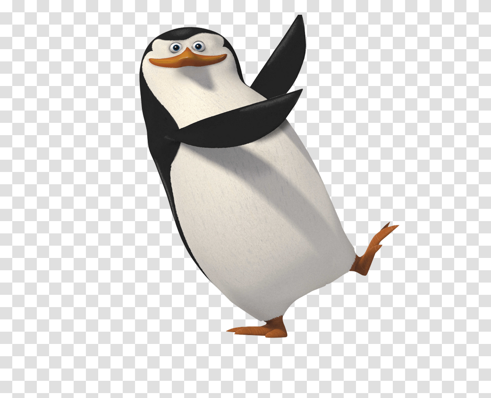 Pinguin, Animals, Bird, Penguin, Plush Transparent Png