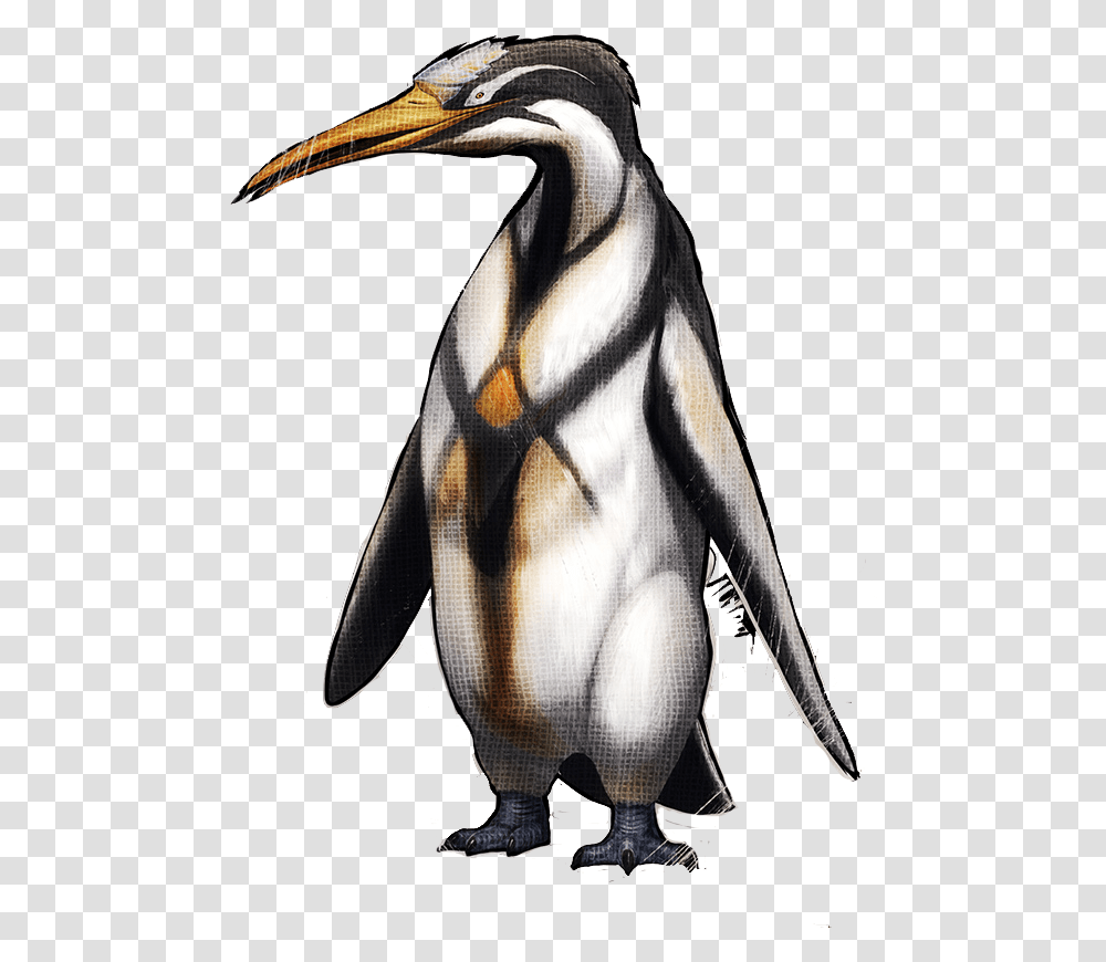 Pinguin Ark, Animal, Beak, Bird, Person Transparent Png