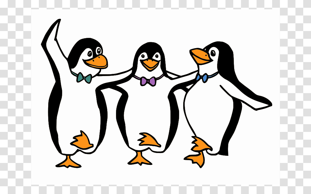 Pinguinehorizontal, Animals, Penguin, Bird, King Penguin Transparent Png