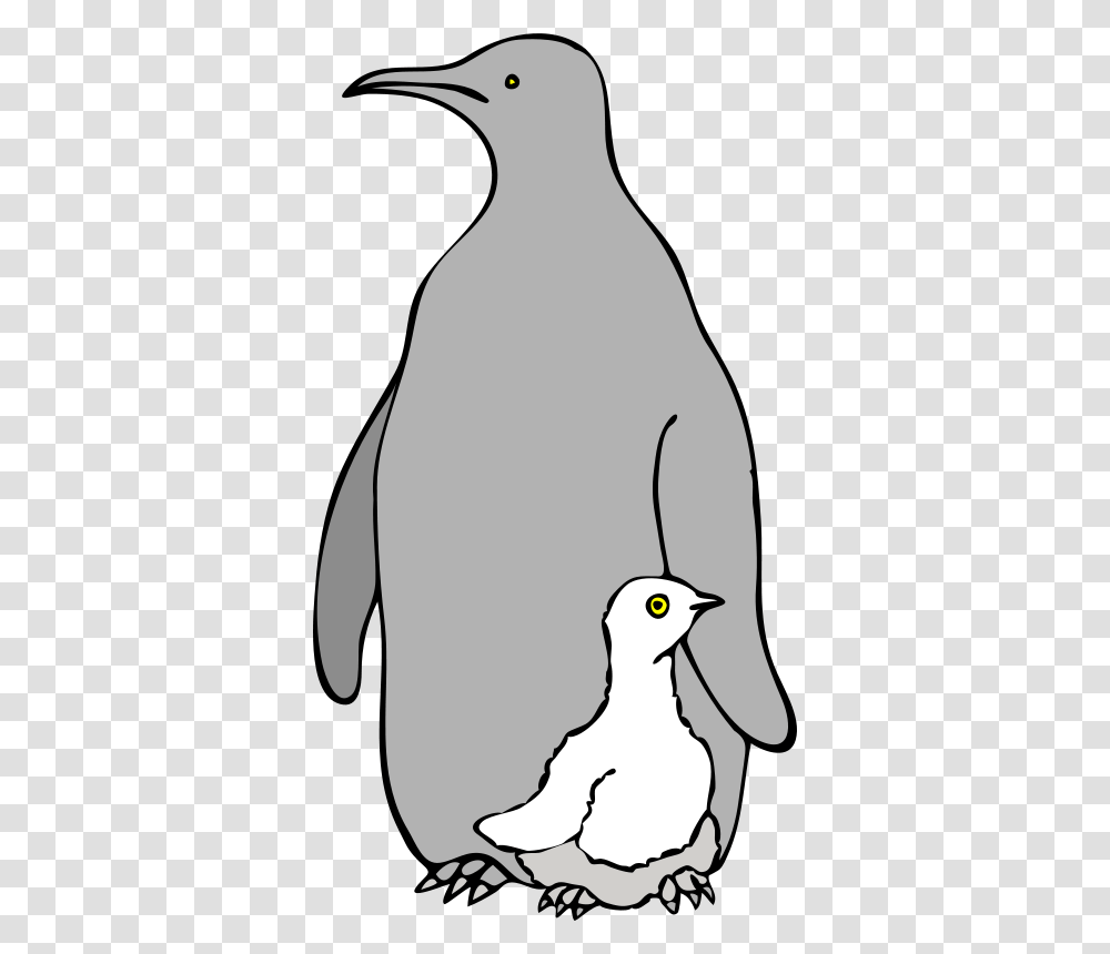 Pinguino Col Piccolo Ar, Animals, Penguin, Bird, King Penguin Transparent Png