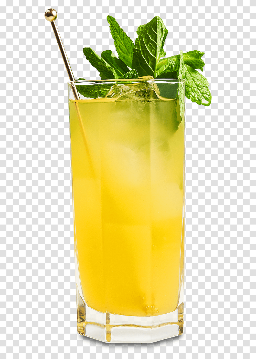 Pining For Rum, Potted Plant, Vase, Jar, Pottery Transparent Png