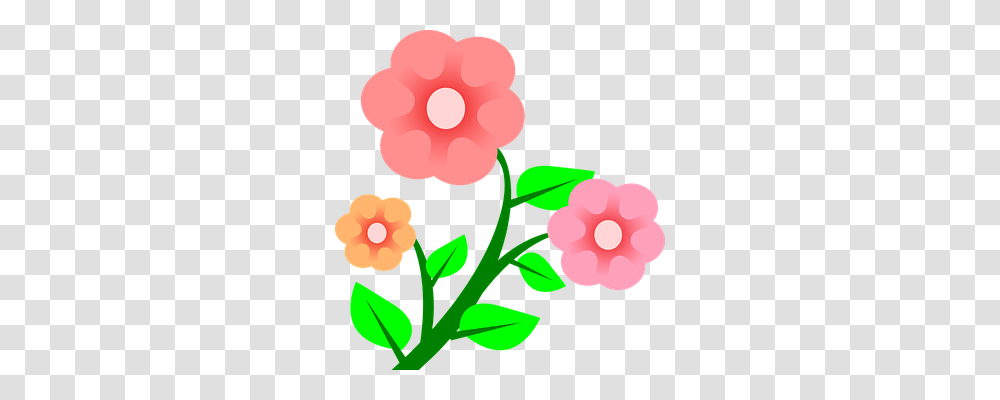 Pink Nature, Plant, Flower, Petal Transparent Png