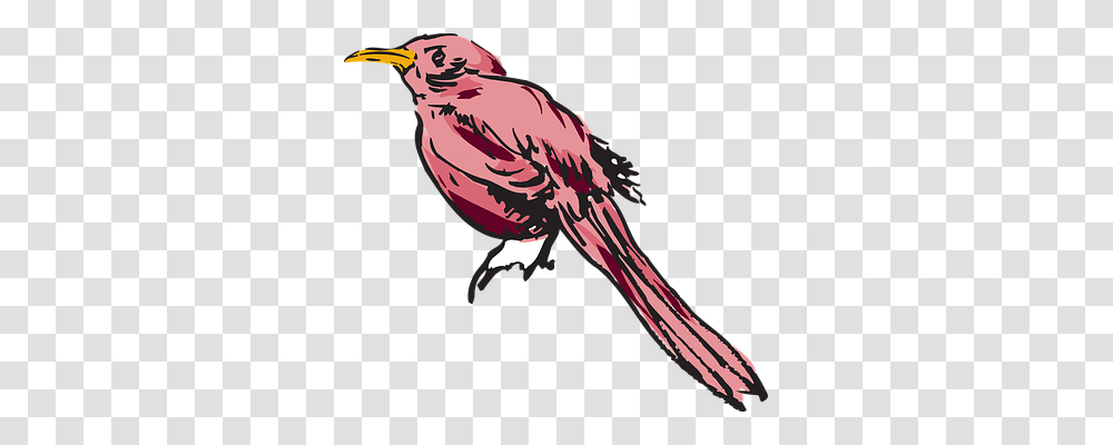 Pink Animals, Bird, Finch, Beak Transparent Png