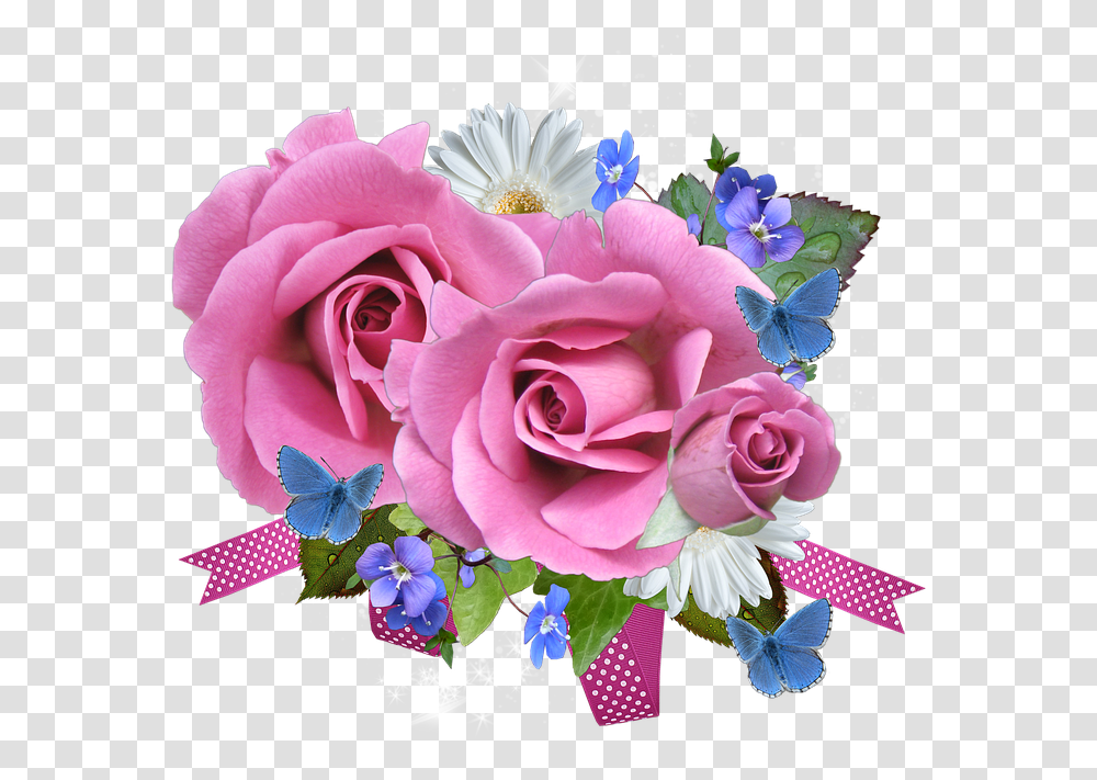 Pink And Blue Rose, Plant, Flower, Blossom, Flower Bouquet Transparent Png