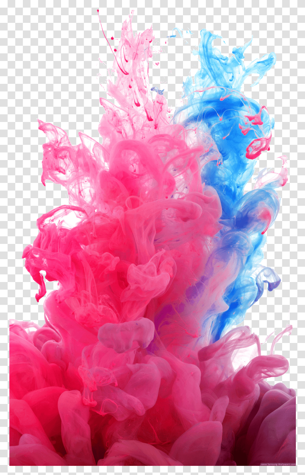 Pink And Blue Smoke, Pattern, Plant Transparent Png