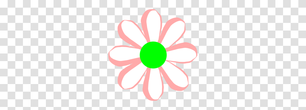 Pink And Green Daisy Clip Art, Flower, Anther, Dahlia, Petal Transparent Png