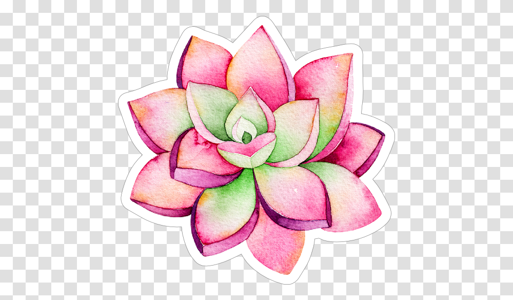 Pink And Green Watercolor Succulent Sticker Watercolor Sticker, Plant, Flower, Blossom, Petal Transparent Png