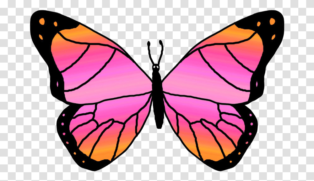 Pink And Orange Butterfly Clipart Download Orange And Pink Butterfly, Insect, Invertebrate, Animal, Pattern Transparent Png