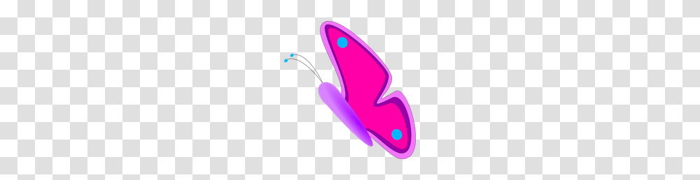 Pink And Purple Butterfly Side View Clip Art For Web, Dynamite, Bomb, Weapon, Light Transparent Png