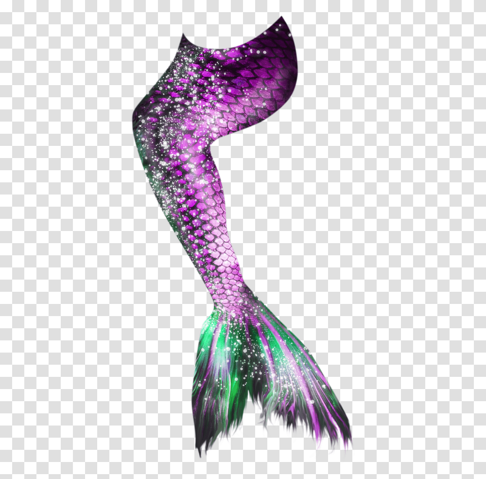 Pink And Purple Mermaid Tail, Light, Bird, Animal, Glitter Transparent Png