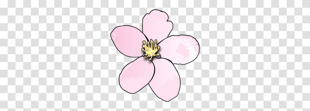 Pink Apple Blossom Clip Art, Plant, Flower, Petal, Anther Transparent Png
