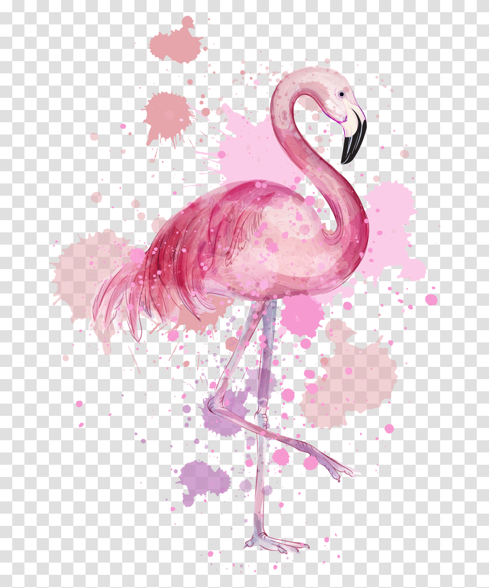 Pink Background Image Flamingo High Resolution Drawing, Bird, Animal, Art Transparent Png