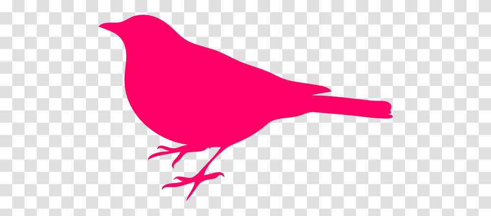 Pink Bird Clip Art, Animal, Finch, Canary, Ketchup Transparent Png