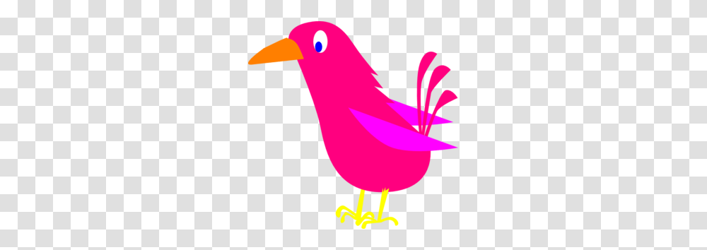 Pink Bird Clip Art For Web, Animal, Beak, Cardinal, Jay Transparent Png