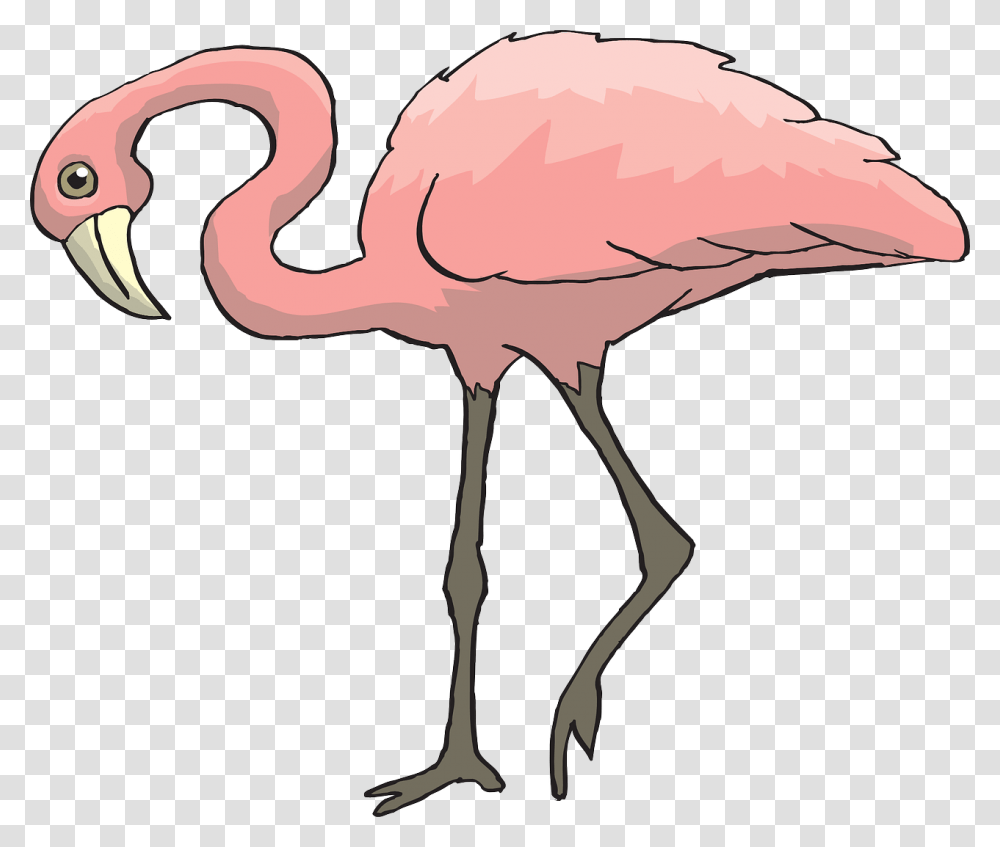Pink Bird Flamingo Long Neck, Blow Dryer, Appliance, Hair Drier, Animal Transparent Png