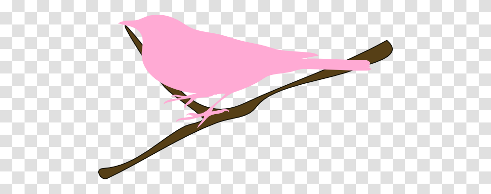 Pink Bird On Twig Clip Art, Animal, Jay, Flamingo, Seagull Transparent Png