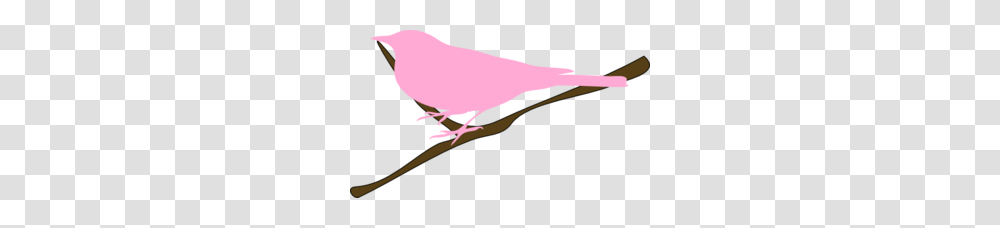 Pink Bird On Twig Clip Art, Animal, Seafood, Finch, Canary Transparent Png