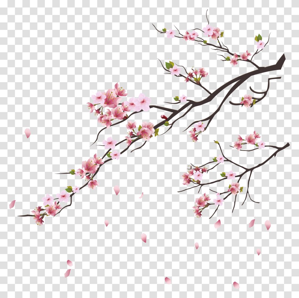 Pink Blossoms Tokyo Blossom Cherry Tsukasa Branch Clipart Cherry Blossom Branch, Plant, Flower, Petal Transparent Png