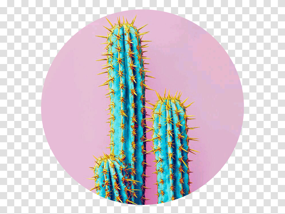 Pink Blue Cactus Cato Azul Rosa Glitch Verde Neon Cactus Transparent Png