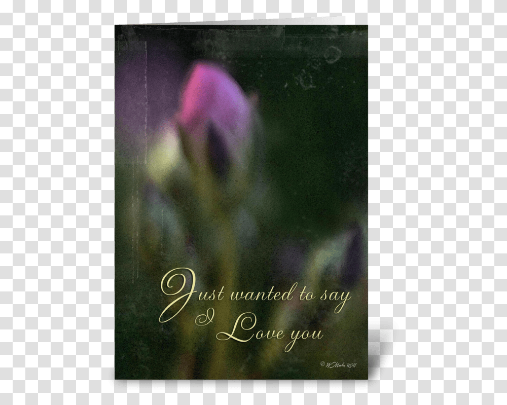 Pink Bud Romantic Card Greeting Card Hybrid Tea Rose, Plant, Flower, Blossom, Sprout Transparent Png