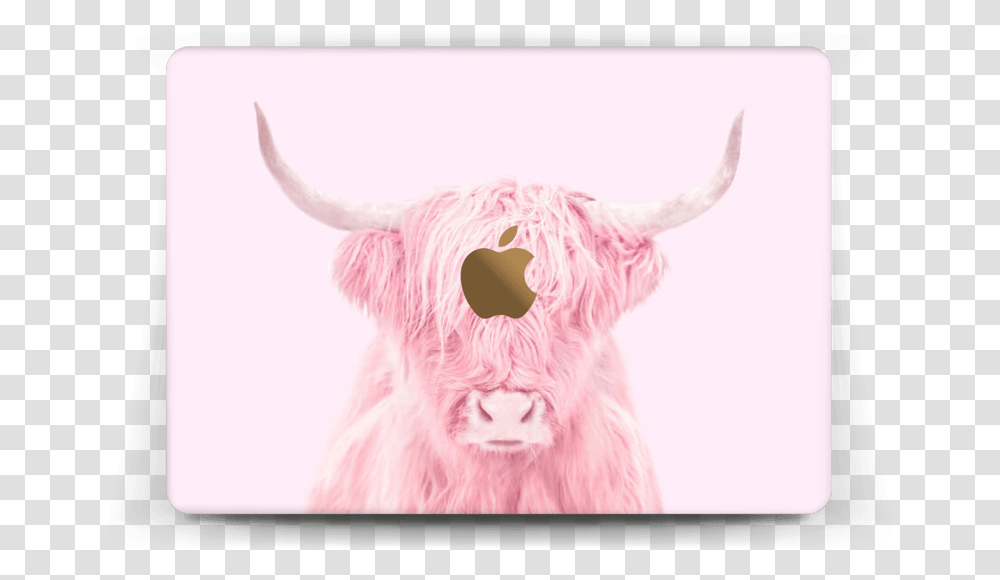 Pink Bull Skin Macbook 12 Pink Bull, Cattle, Mammal, Animal, Cow Transparent Png