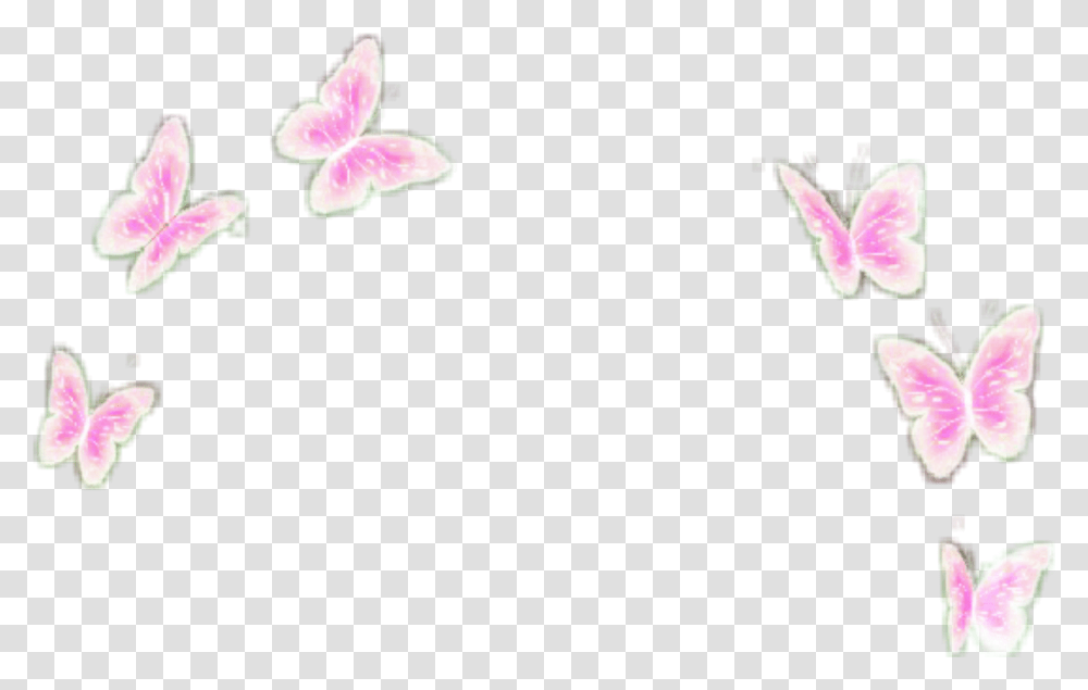 Pink Butterflies Butterfly Overly Filter Crownn Butterfly Filter, Plant, Flower, Blossom, Petal Transparent Png
