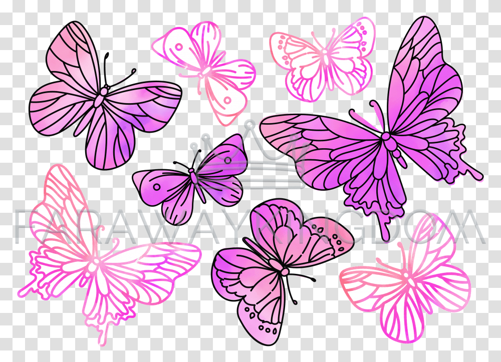 Pink Butterflies Watercolor Summer Vector Illustration Set Pieridae, Geranium, Flower, Plant, Blossom Transparent Png