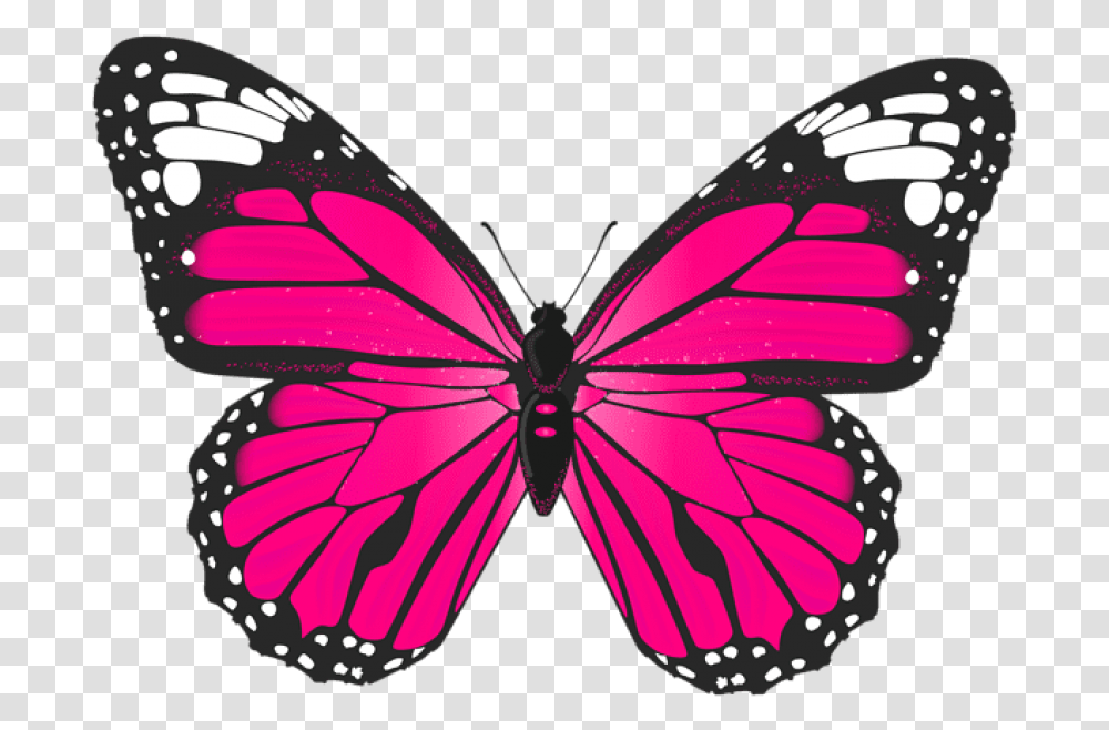 Pink Butterfly Butterfly Pink, Insect, Invertebrate, Animal, Ornament Transparent Png