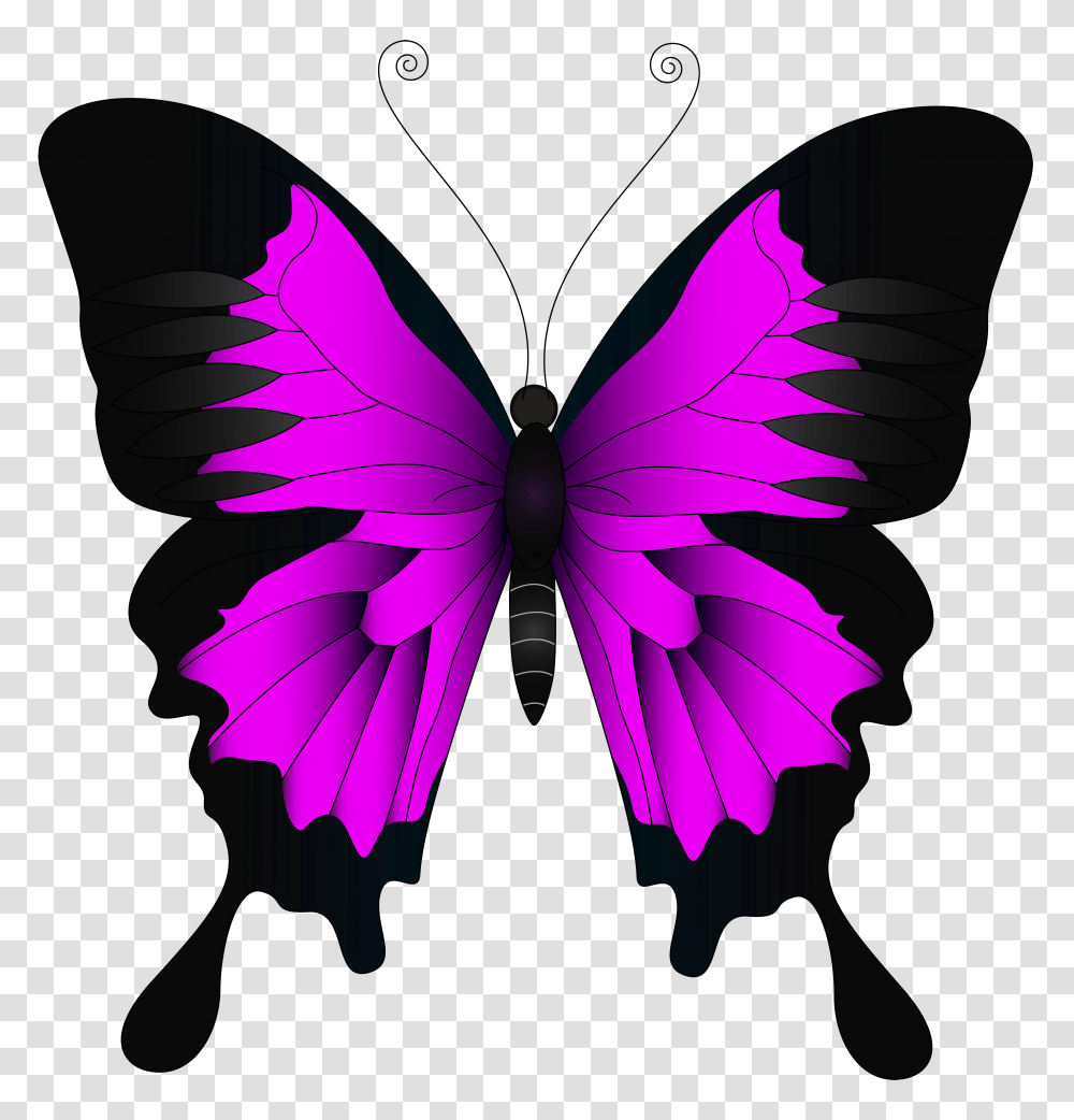 Pink Butterfly Clip Art, Pattern, Purple, Ornament, Insect Transparent Png