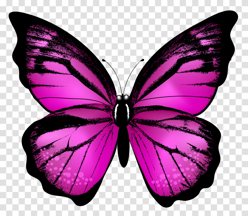 Pink Butterfly Clip Art Transparent Png