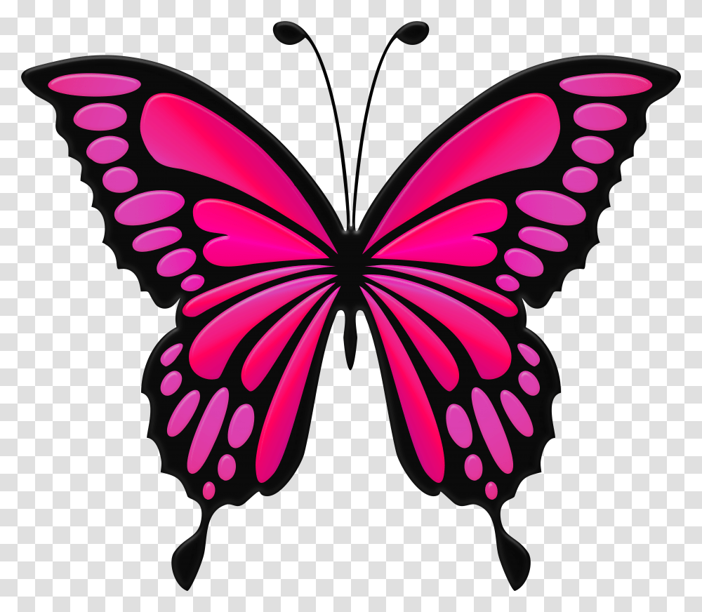 Pink Butterfly Clip Transparent Png