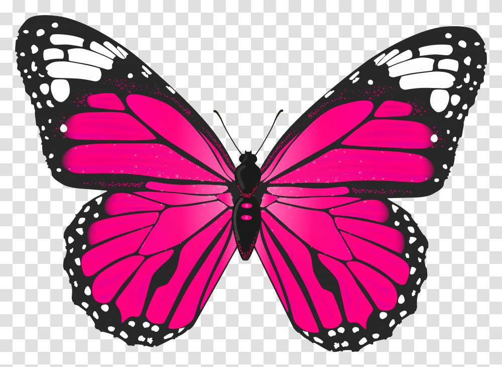 Pink Butterfly Clipart Transparent Png