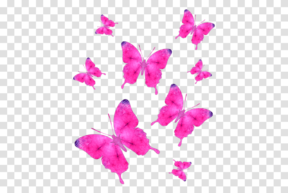Pink Butterfly Group, Plant, Petal, Flower, Blossom Transparent Png